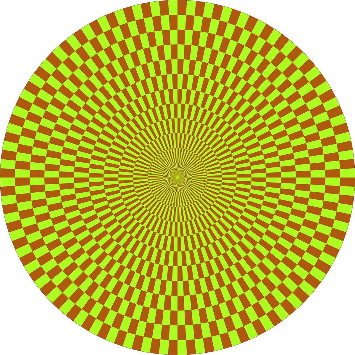 Optical Illusions
