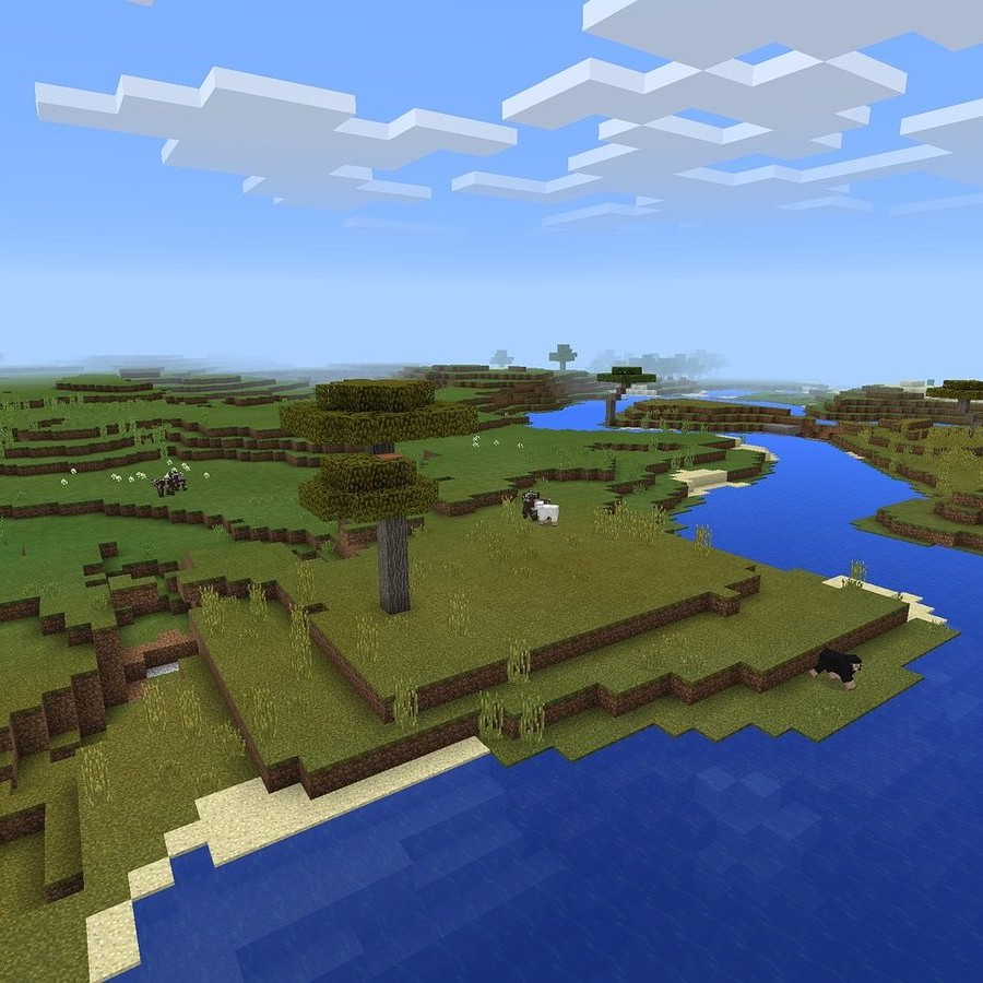 Voxel